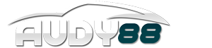 Logo AUDY88